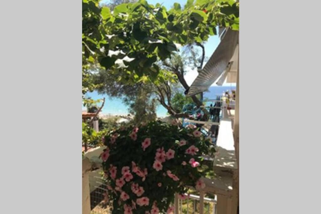 ניאה מודאניה Stefani Apartment With A Sea View Terrace! חדר תמונה